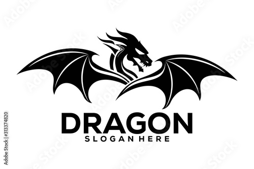 Dragon Logo Icon, Dragon Logo Template, Dragon logo Vector illustration