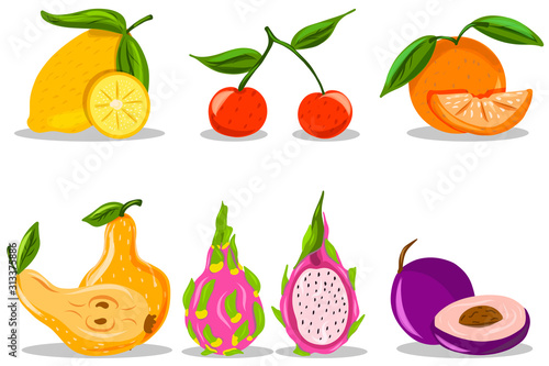 Fruit. Bright. Hand drawing. Dragon fruit  pear  orange  plum. For your design.