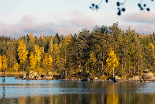 Autumn nature on the waterside of The Saimaa Lake in Puumala Municipality. Southern Savonia (Savo) Region. Finland