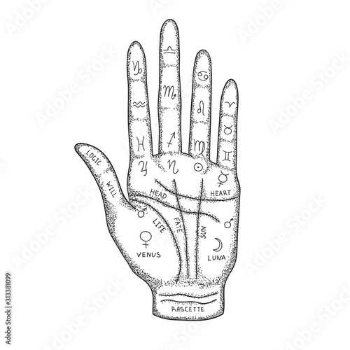 Palm with the image of lines and signs of the zodiac, planets. Palmistry. Vector illustration in vintage style.