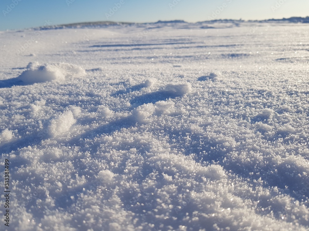 White snow in the field