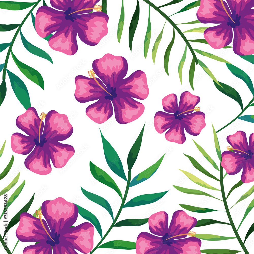 background of flowers of purple color with branches and leafs vector illustration design background of flowers of purple color with branches and leafs vector illustration design