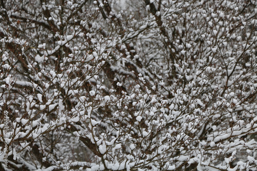 Obraz premium 日光田母沢御用邸記念公園