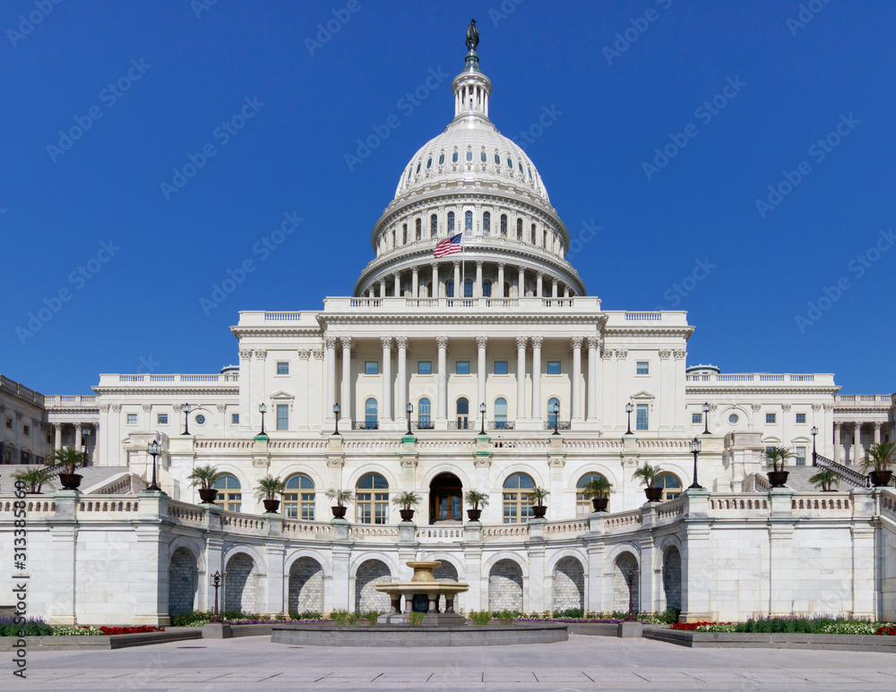 United States Capitol or the Capitol Building in Washington DC , It is the home of the United States Congress and the seat of the legislative branch of the U.S. federal government
