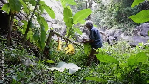 Man chopping banana leaves to make bedding. Somewhere in the jungle.