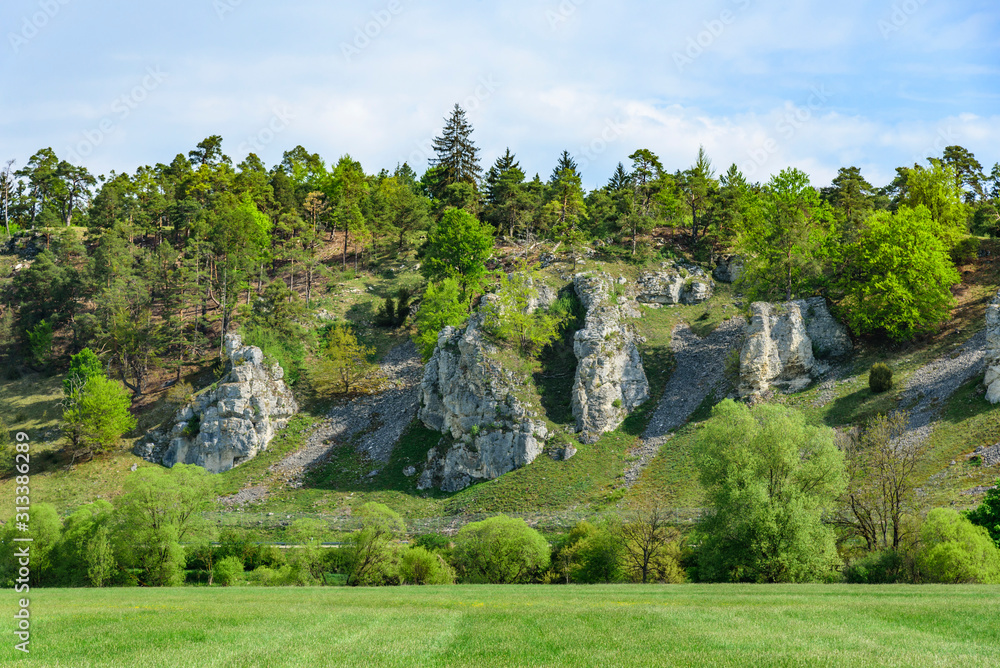 Felslandschaft Zwölf-Apostel-Felsen im Altmühltal Felslandschaft Zwölf-Apostel-Felsen im Altmühltal