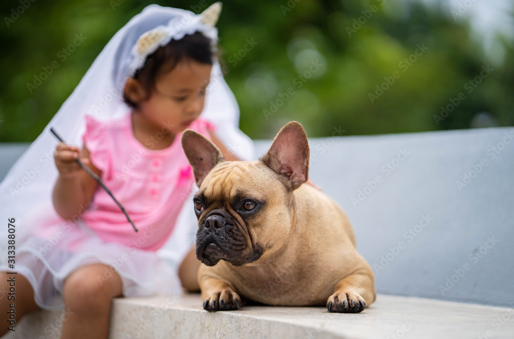 Fototapeta premium Cute asian girl playing with her lovely french bulldog at marble seat in park.