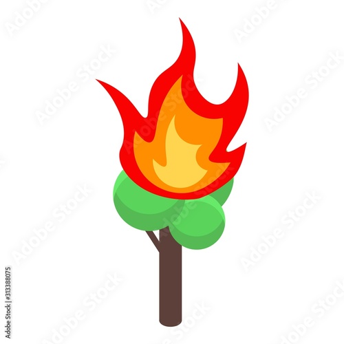 Burning green tree icon. Isometric of burning green tree vector icon for web design isolated on white background