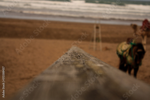 Out of focus