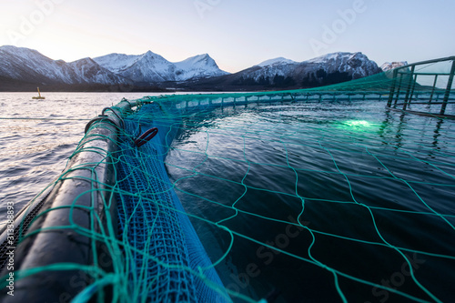 Foto Lachszucht in Norwegen im Netzgehege, kontrollierte Aufzucht im Meerwasser  Fjor