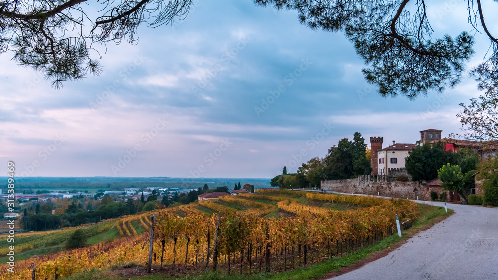 Autumn sunset in the vineyards of Collio Friulano Autumn sunset in the vineyards of Collio Friulano