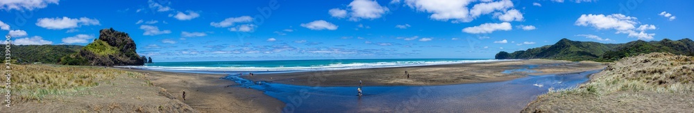 Panoramic Piha Beach, New Zealand