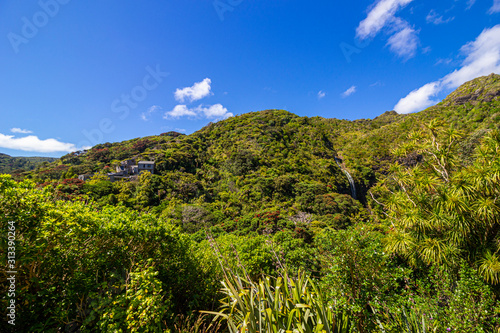 Piha Beach, New Zealand