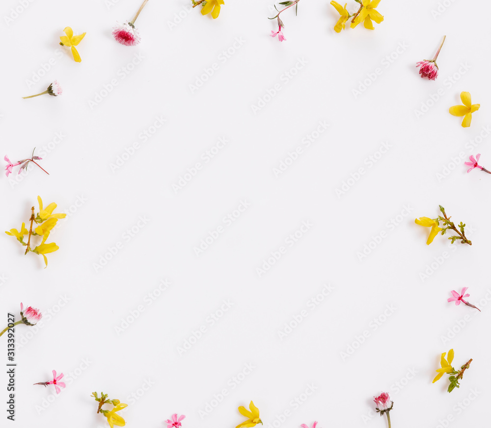 Spring small pink yellow flowers, daisy isolated on white background, frame.