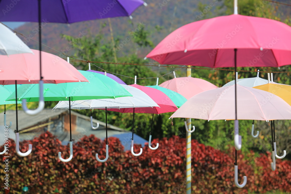 colorful umbrella decoration in outdoor