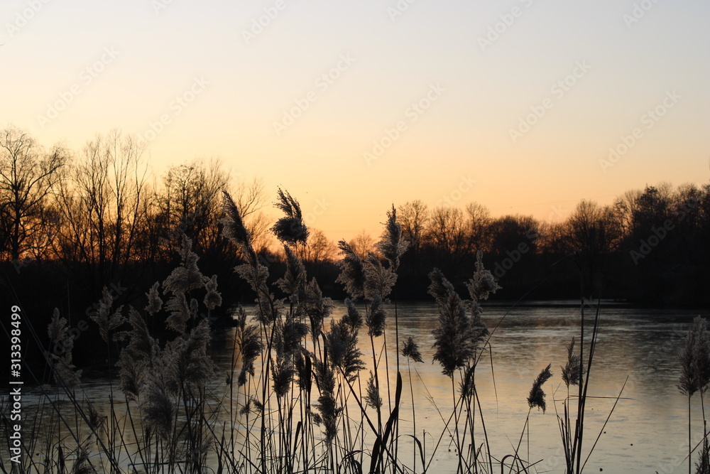Naklejka premium Friedlicher Abend am See