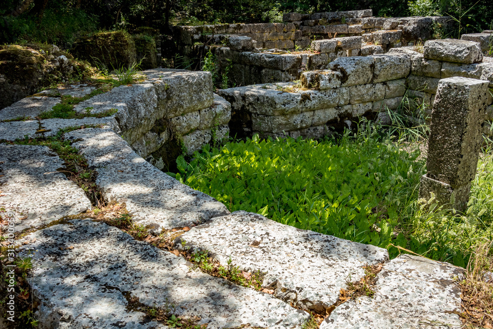 Building ruins with beautiful plants growing. Beautiful warm spring day and archeological ruins at Butrint National Park, Albania, UNESCO heritage. Travel photography with fresh green flora Building ruins with beautiful plants growing. Beautiful warm spring day and archeological ruins at Butrint National Park, Albania, UNESCO heritage. Travel photography with fresh green flora