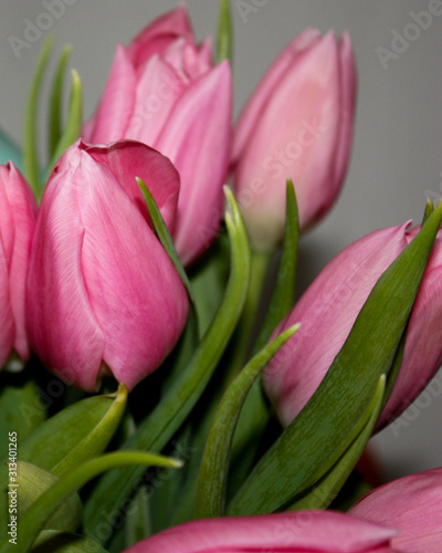 bouquet of tulips closeup  tulip flower background