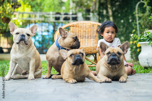 Portrait of cute little girl taking picture with french bulldogs in garden.