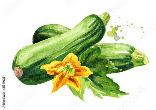Green zucchini vegetables with leaf and flower. Hand drawn watercolor illustration, isolated on white background