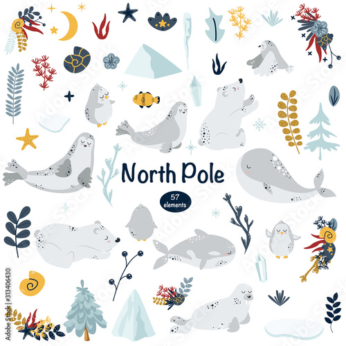 set of isolated north animals and elements - vector illustration, eps