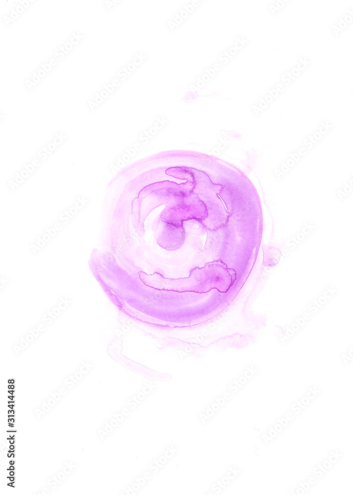 pink and pink rose on white background pink and pink rose on white background