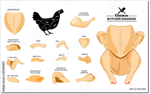 chicken butcher diagram or part of hen butcher concept. easy to modify