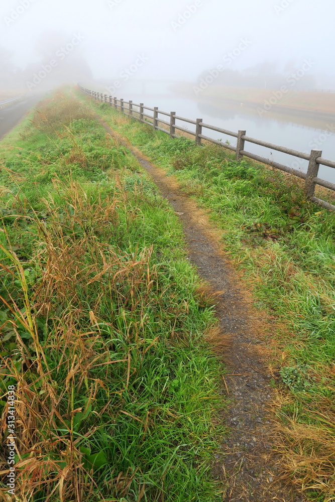 冬の朝霧の坂川放水路土手風景