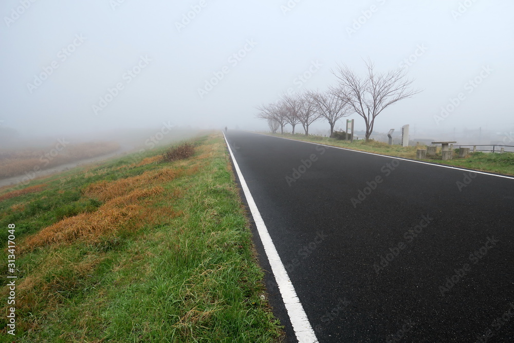 冬の朝霧の江戸川サイクリング道路風景