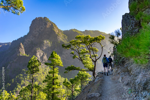 Canvastavla La Palma: Rundwanderung zum Pico Bejenado in der Caldera de Taburiente - Wanderg
