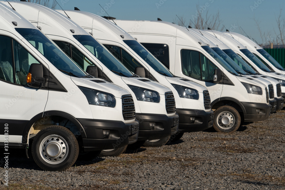 Naklejka premium A lot of new trucks and vans in a row