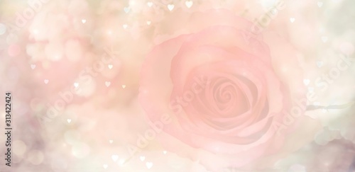 Rosa Rose mit Bokeh in Herz...