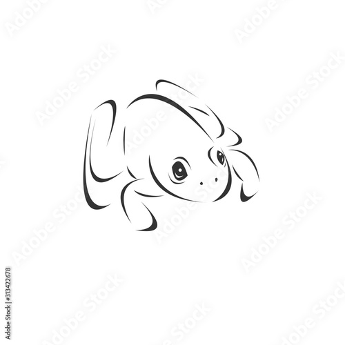 Vector image of an Frog black and white. design style. animal. art. symbol. logo. Illustrator. on white background