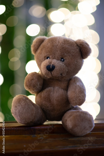 teddy bear