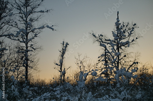Russia. The South Of Western Siberia. Frosty sunset in Mountain Altai.