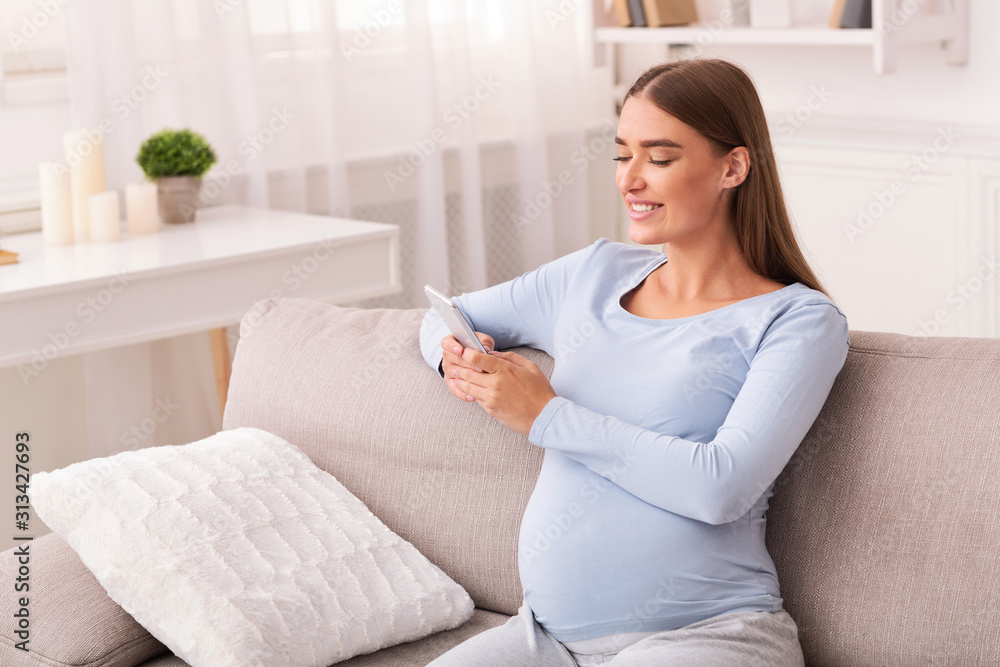 Pregnant Lady Using Phone Texting Sitting On Sofa Indoor Pregnant Lady Using Phone Texting Sitting On Sofa Indoor