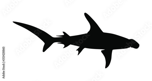 Hammerhead shark vector silhouette illustration isolated on white background.. Sea predator. Danger on beach alert. Open jaws of beast.  Fear for divers and swimmers. Under water alert. Ocean killer.