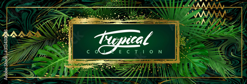 Dark tropical background with green leaves and golden abstract elements. Vector template