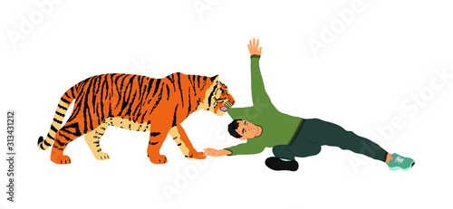 Tiger attacks man vector illustration isolated on white background. Wild animal attack person. Beast with prey in the jaws. Boy begs for help. Risk situation in zoo park. Battle for life, scary scene.