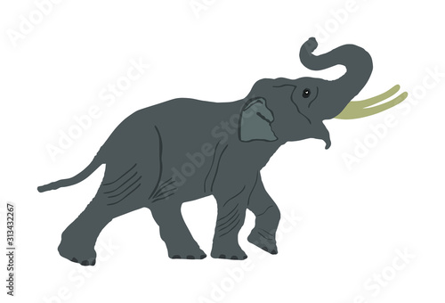 Elephant vector illustration isolated on white background. Elephant male vector. African animal, alert of poacher. Safari attraction. © dovla982
