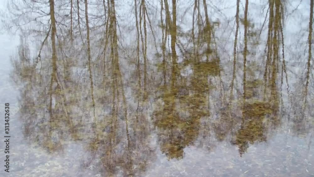 Reflection of trees without leaves in water Reflection of trees without leaves in water