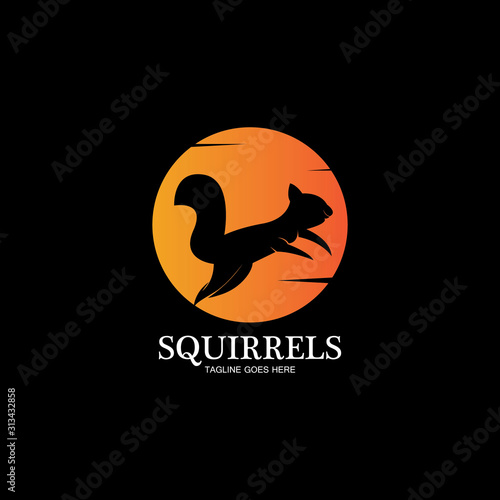 creative squirrel animal logo design icon symbol illustration-vector © Sunar