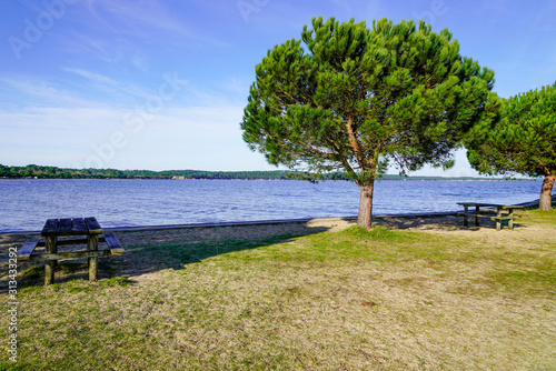 wood bench and table in coast lake at Maubuisson Carcans city in southwest France © OceanProd