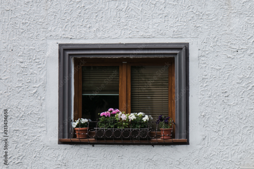 Old town center new house window with flowers