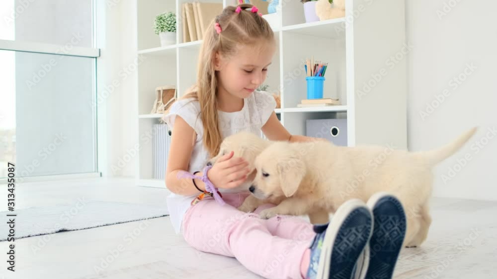 Beautiful little girl playing with cute retriever puppies indoors