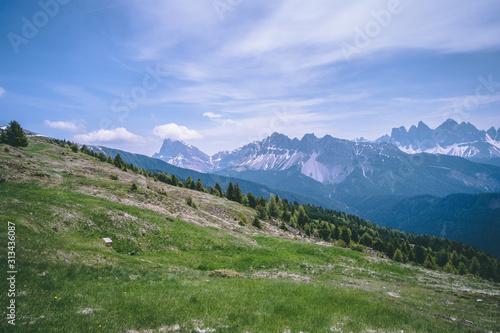 Bergwiese vor Alpen 