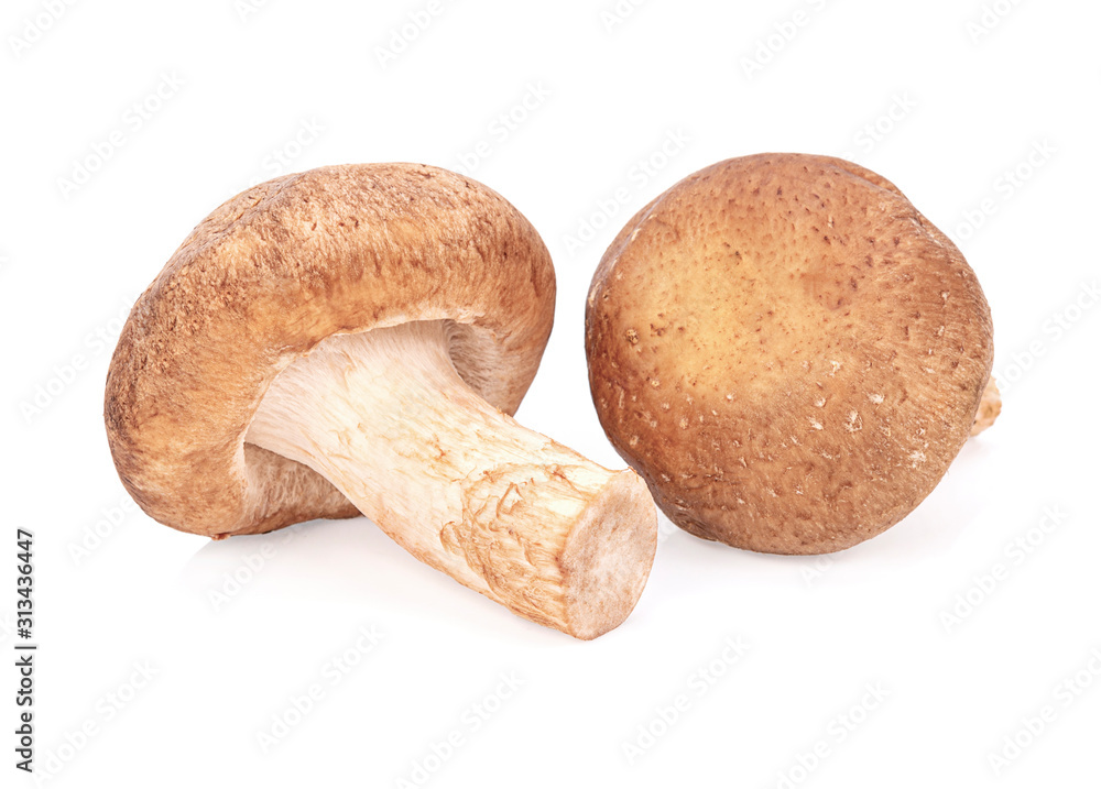 Fresh Shiitake mushroom isolated on white background. Fresh Shiitake mushroom isolated on white background.