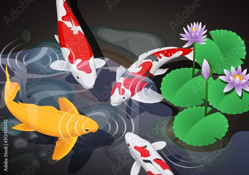 Carps koi fish underwater pond vector illustration