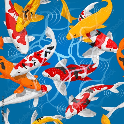 Carps koi fish underwater pond vector illustration