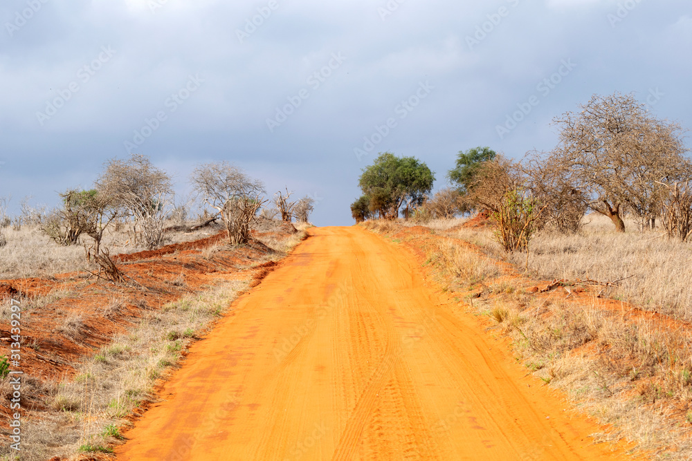 Fototapeta premium Empty road in the Savannah